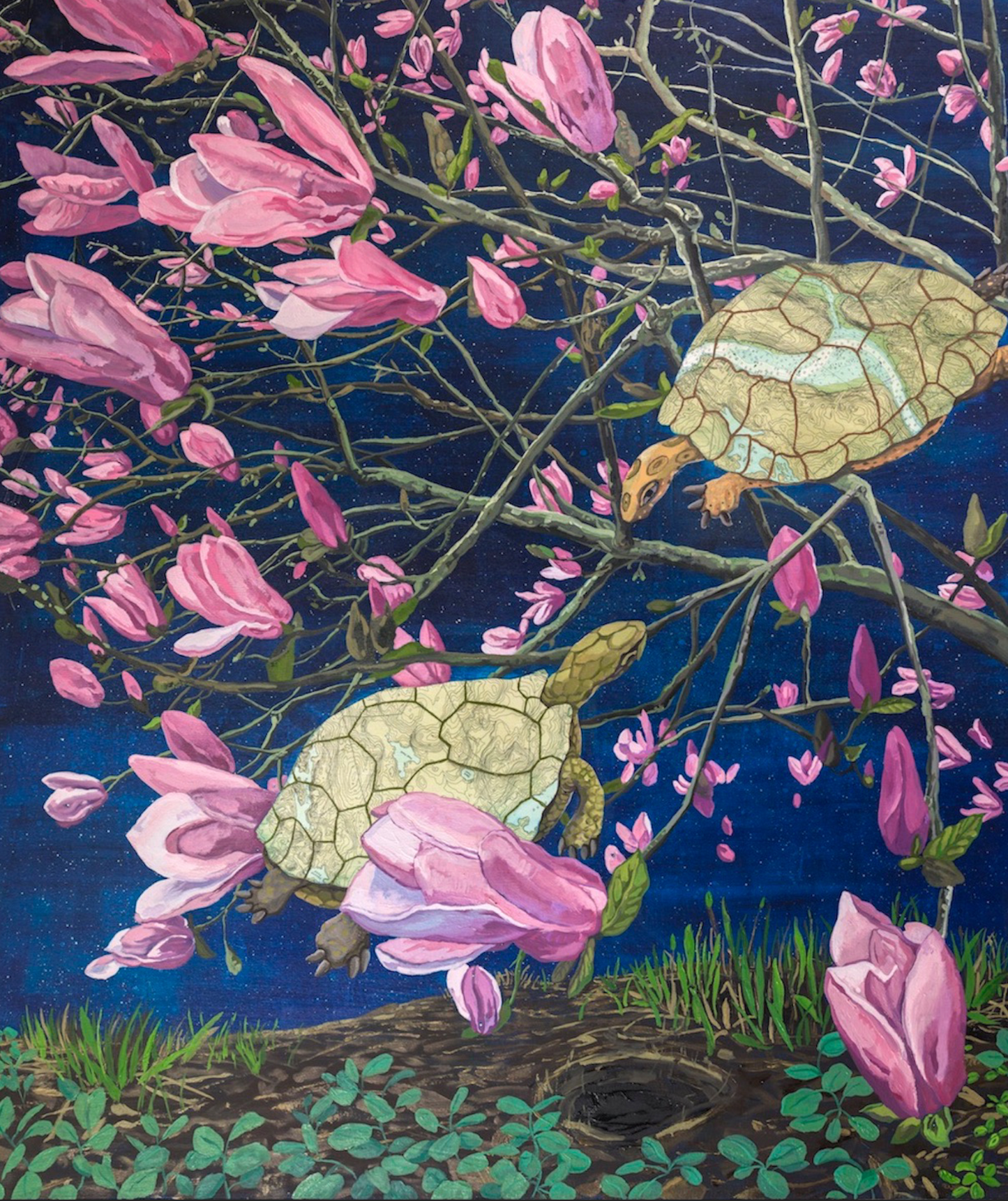 Infinity Encountered