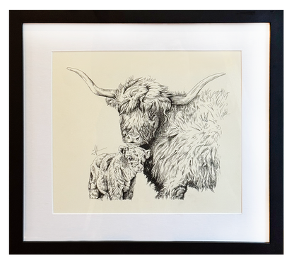 Highland Mother and Calf