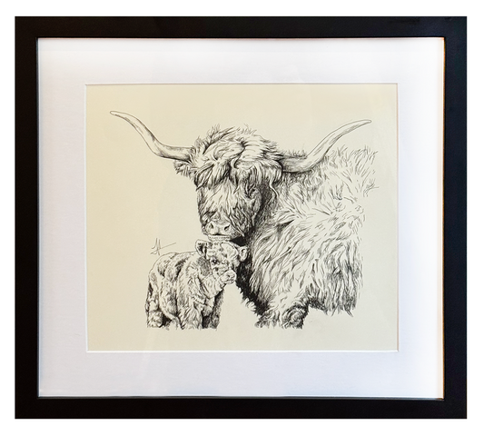 Highland Mother and Calf