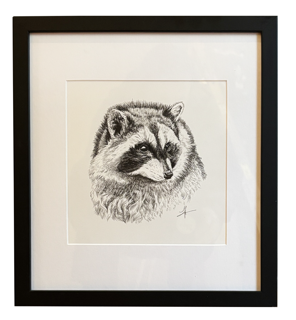 Portrait of a Raccoon
