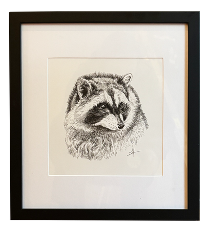 Portrait of a Raccoon