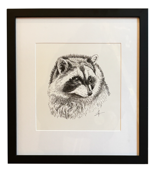 Portrait of a Raccoon