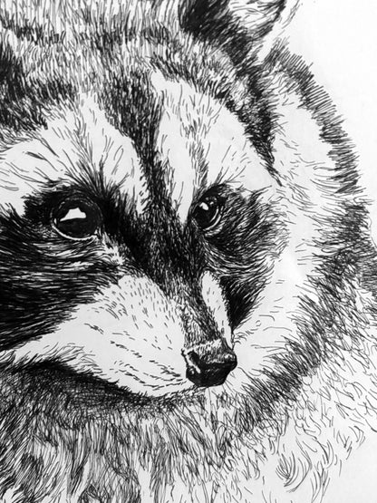 Portrait of a Raccoon