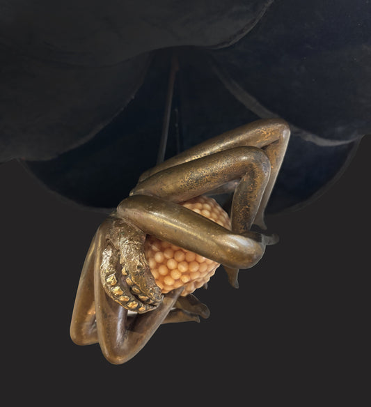 Sugar Mama with Angel Trumpet